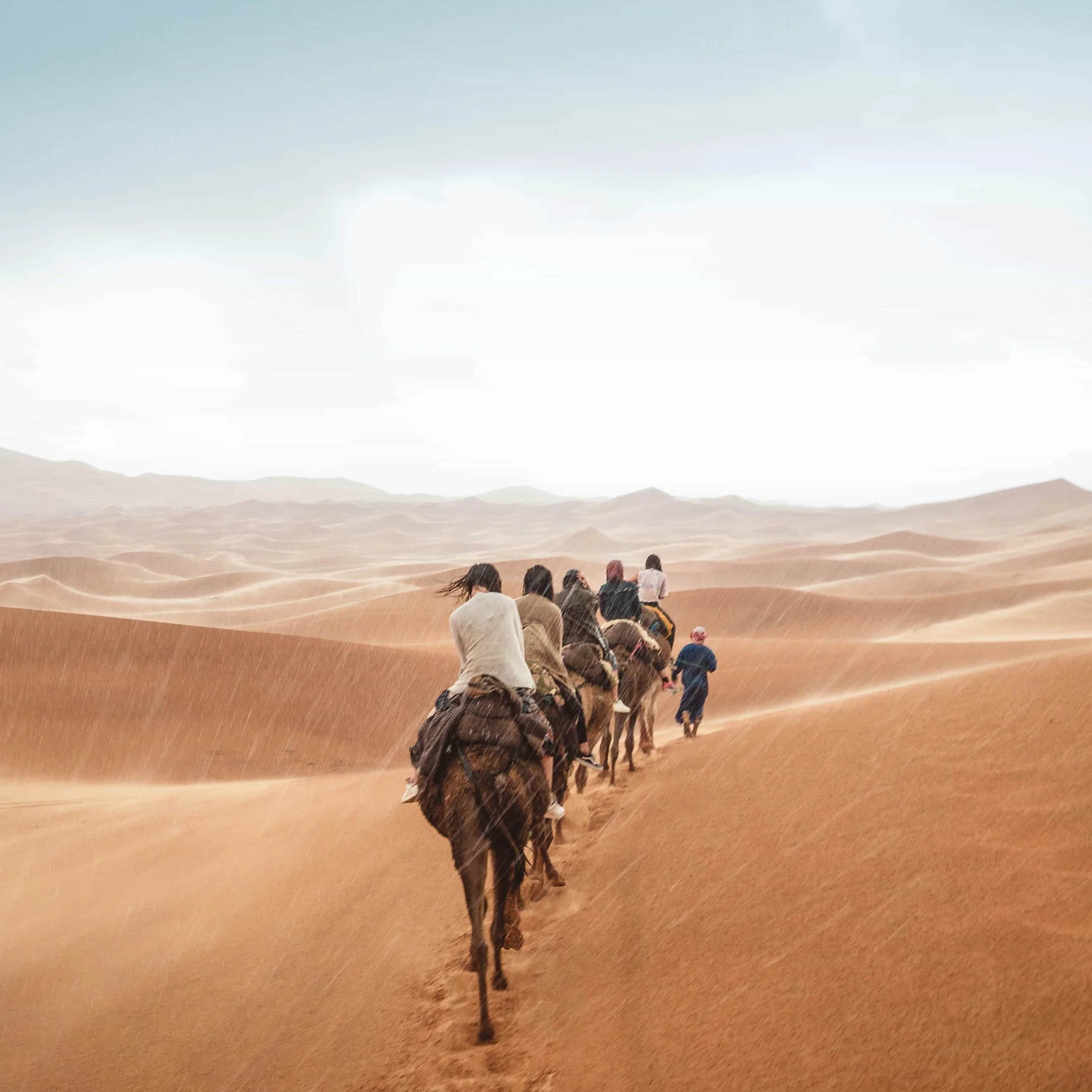 3-Day Marrakech Fes Sahara Journey